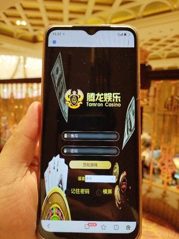 腾龙公司现代办公环境